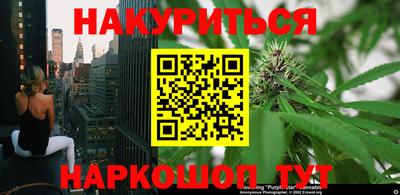 стаф Кандалакша