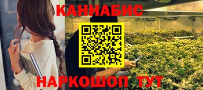 ALPHA PVP Камышлов