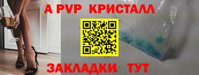 стаф Кандалакша