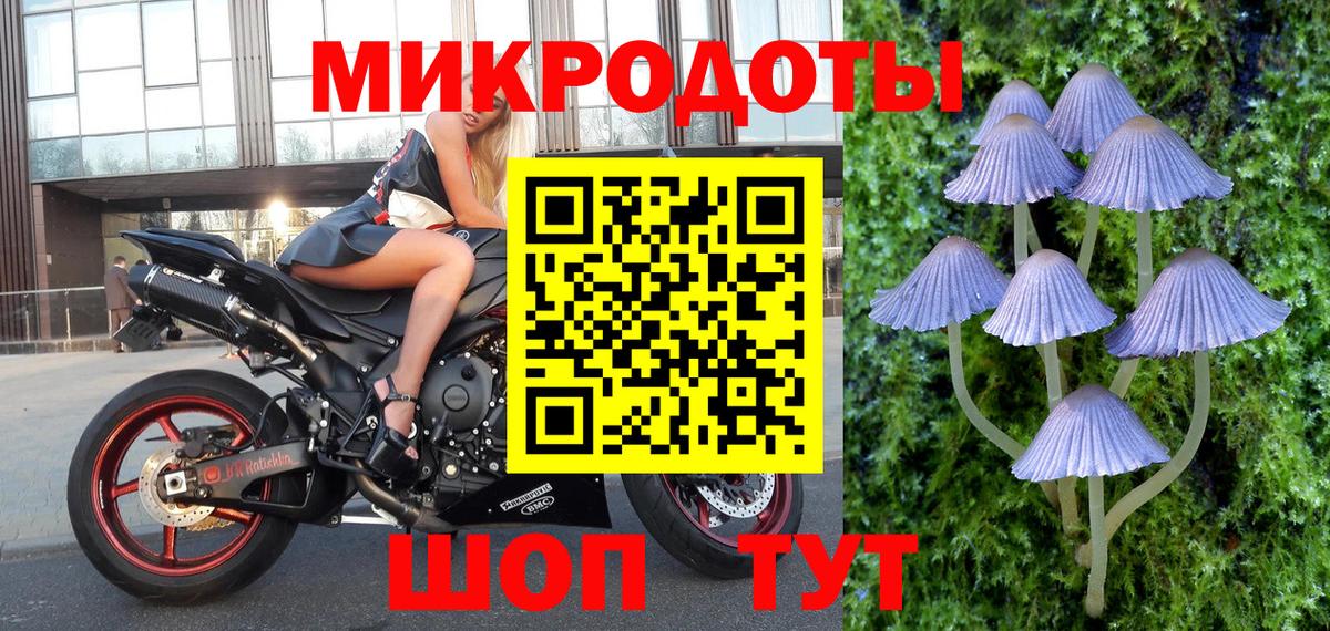 Галлюциногенные грибы Cubensis  Вход с VPN  купить наркотики цена  Галлюциногенные грибы прущие грибы  Менделеевск 